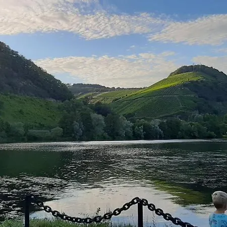 Dom wakacyjny Elisa Trittenheim