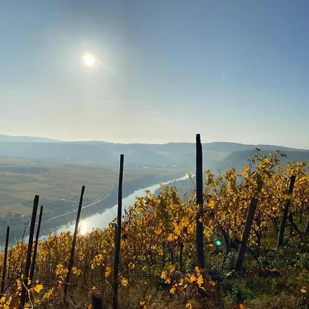 Elisa Dom wakacyjny Trittenheim