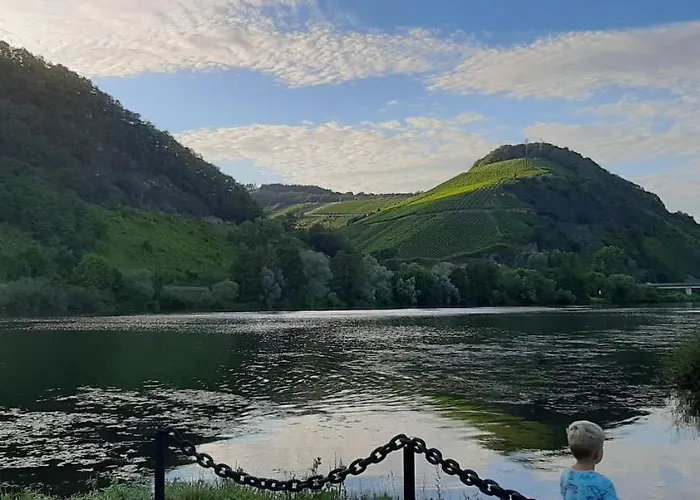 Dom wakacyjny Elisa Trittenheim