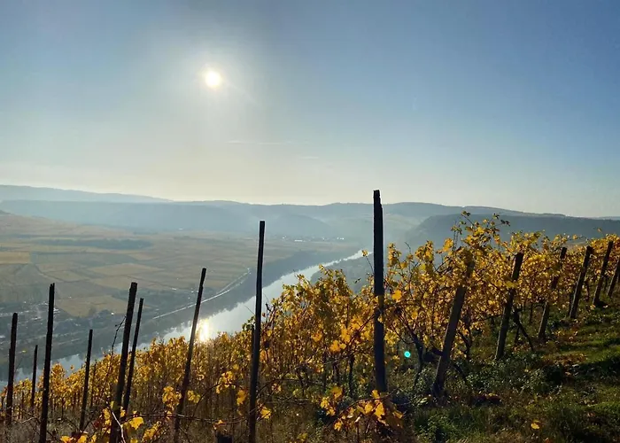 Elisa Dom wakacyjny Trittenheim